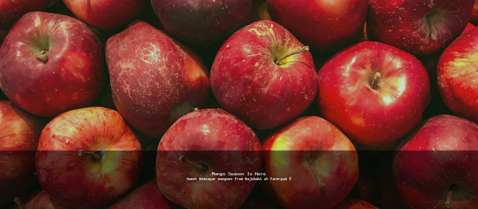 NovaMart Organic screen